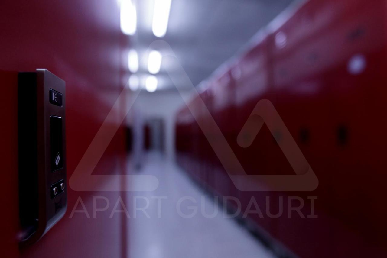 Apart Gudauri LLC Apartment Bagian luar foto